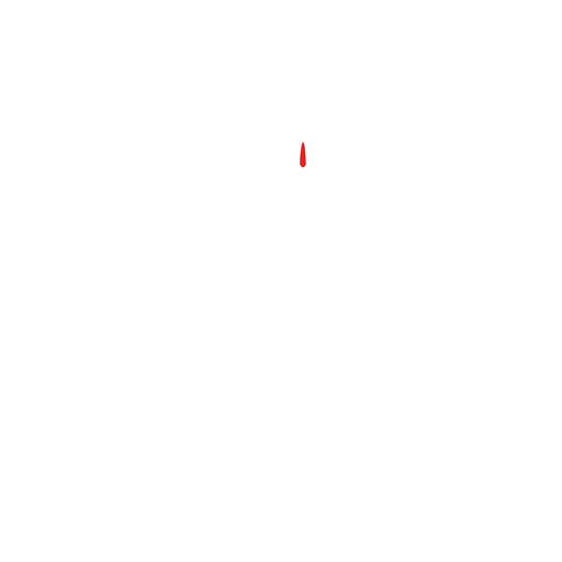 RTP Lion's Volleyball